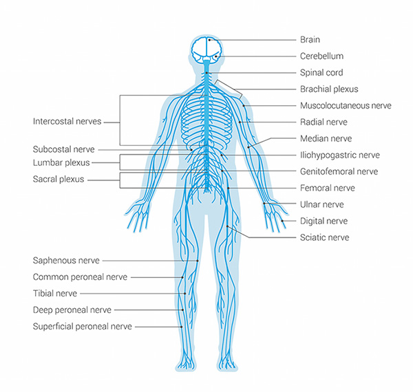 How the principled chiropractic care model works at Landmark Chiropractic